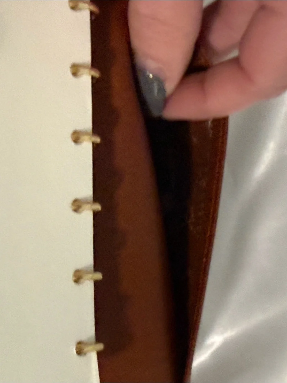 Louis Vuitton Authentic Agenda w/paper in Brown and Gold! With COA & Dust Bag!